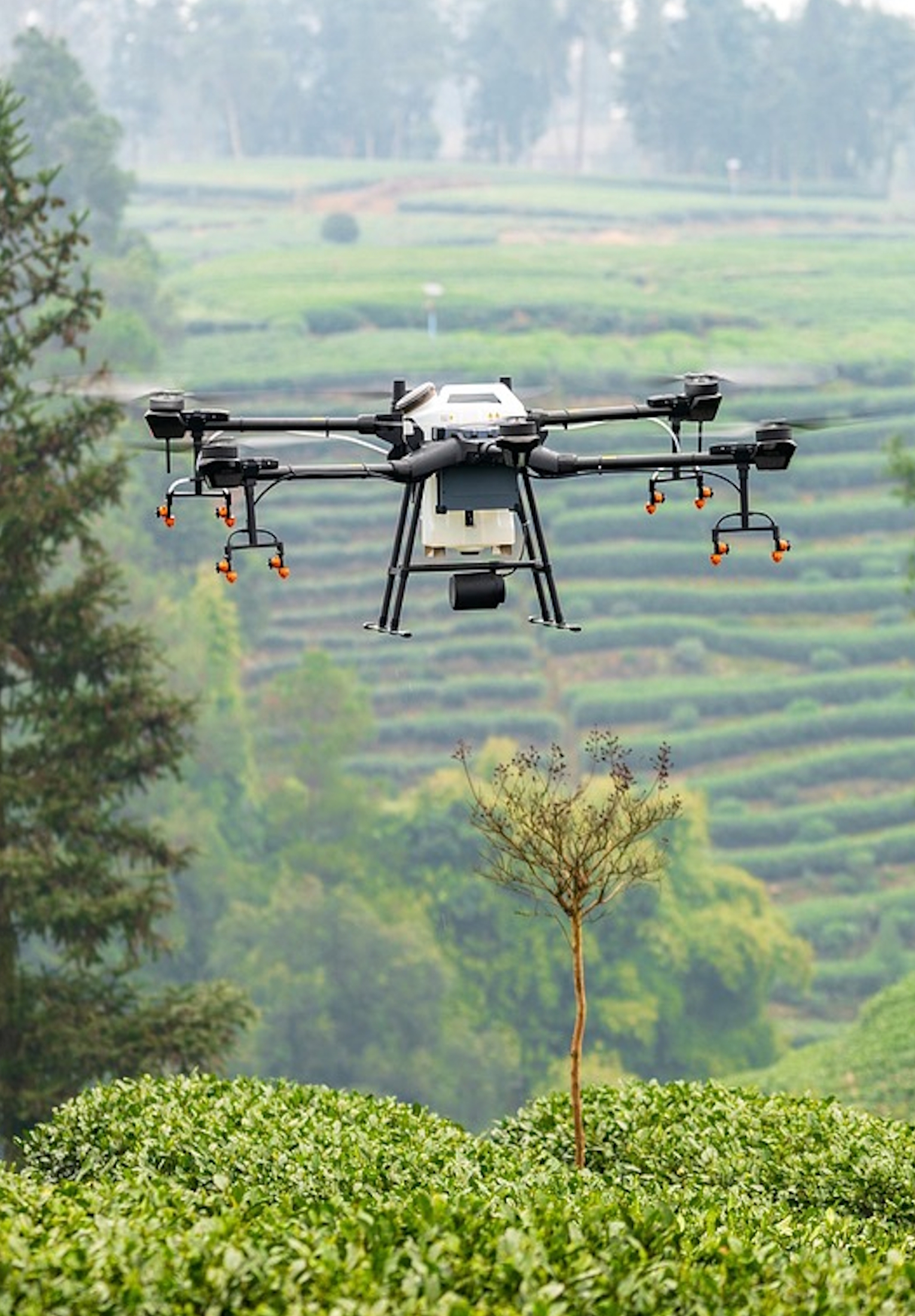 IoT Global Communications